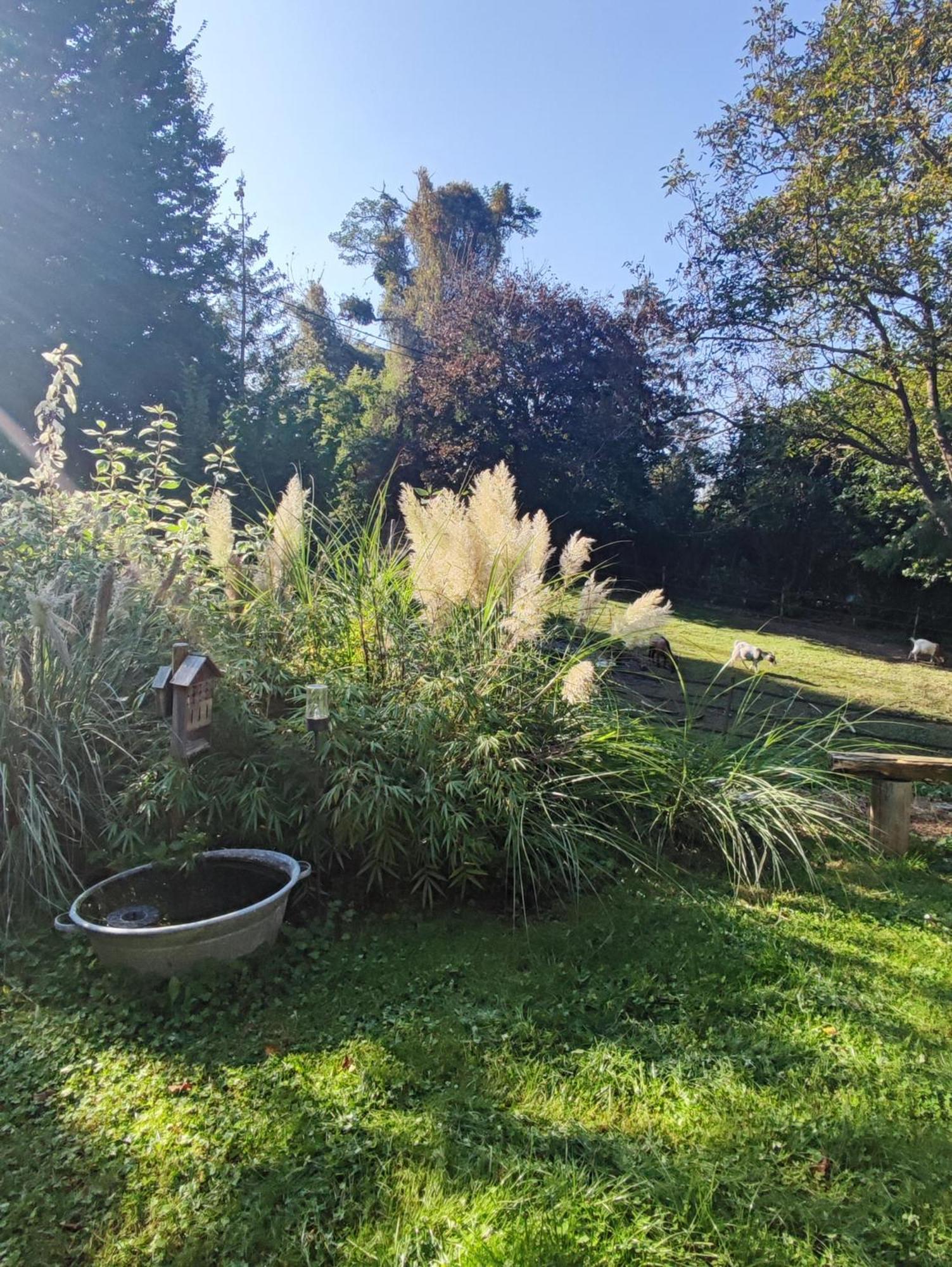 Au Pre De Mukky Villa Andenne Dış mekan fotoğraf